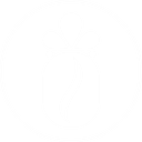 Logotipo de dicaffe.mx, una cafetería que abrió con nuestro apoyo y que vende café de especialidad y accesorios para cafeterías.